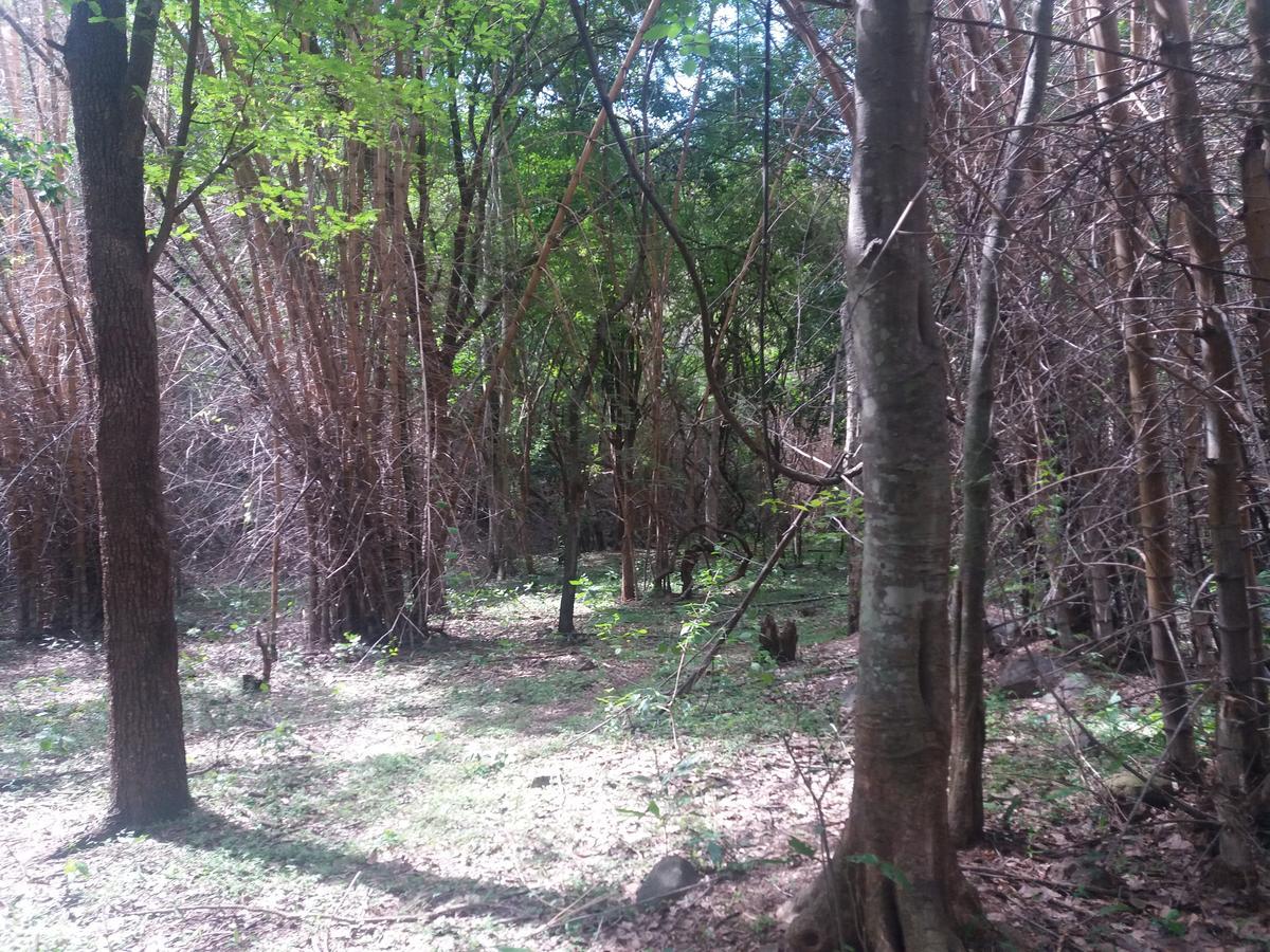 Holiyday In Vgf Farm House Danishpet Ngoại thất bức ảnh